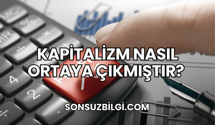 Kapitalizm Nasıl Ortaya Çıkmıştır?