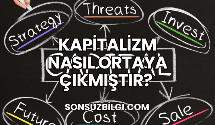 Kapitalizm Nasıl Ortaya Çıkmıştır?