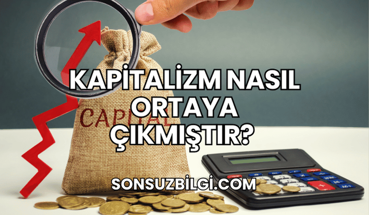 Kapitalizm Nasıl Ortaya Çıkmıştır?