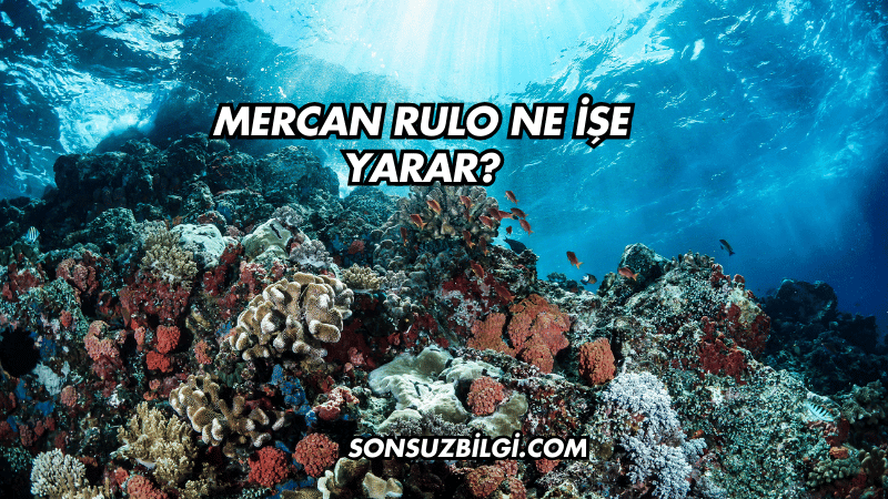 Mercan Rulo Ne İşe Yarar?