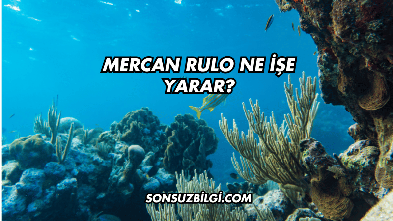 Mercan Rulo Ne İşe Yarar?