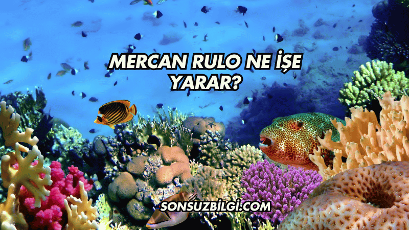 Mercan Rulo Ne İşe Yarar?